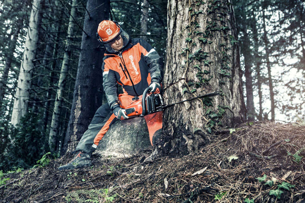 Спил деревьев